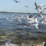 052889b6-aaaf-4e45-af5c-ed15908d0be5