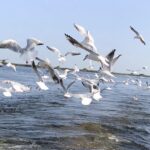 076429e2-59c7-4910-a7f4-065dfa0391a7