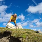 57bc2433-76c5-4b08-9002-20133bb99853