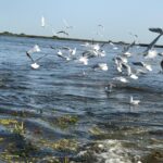 596e1dfe-6d52-48b9-94a4-762af75d57fb