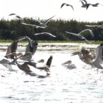 6c106823-f45c-4c22-b2c9-0510dd392dd7