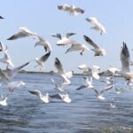 7980ddf3-a3ad-42fe-b089-4e347f835809