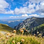 8d202a9f-ecca-4c15-aef3-87fe3af7e132