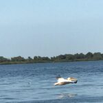 8e11ecac-1437-4f3d-80c5-9639604df548