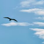 b2eeec66-f85a-4550-9831-4c3436b60416