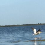 cd560f3f-4add-4bd0-a839-8ad641a1c144