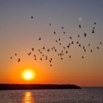 cfd26975-af3c-4acf-8069-9f38b0e3ea7c