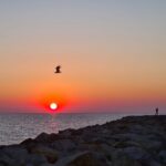 ef230f9b-11c5-4c03-a061-7f1a2766ce5f