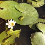 fa6249b3-4e50-4d7f-9a42-3bcb94e1d0ab