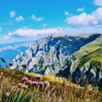 fc94e6d1-a373-439a-9690-76906dcb1aa3