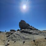 WhatsApp Image 2026-01-28 at 11.23.57 (3)