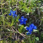 WhatsApp Image 2026-01-28 at 11.23.57 (4)