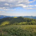 WhatsApp Image 2026-01-28 at 11.23.58