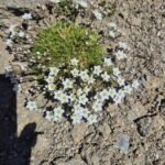 WhatsApp Image 2026-01-28 at 11.23.58 (2)