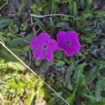 WhatsApp Image 2026-01-28 at 11.23.58 (4)