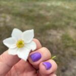 WhatsApp Image 2026-01-28 at 11.23.58 (5)