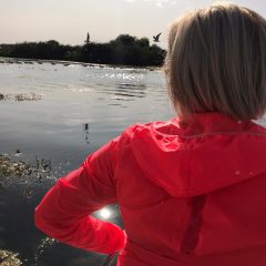 9355686c-313b-4d53-861f-8c9d81f54acb